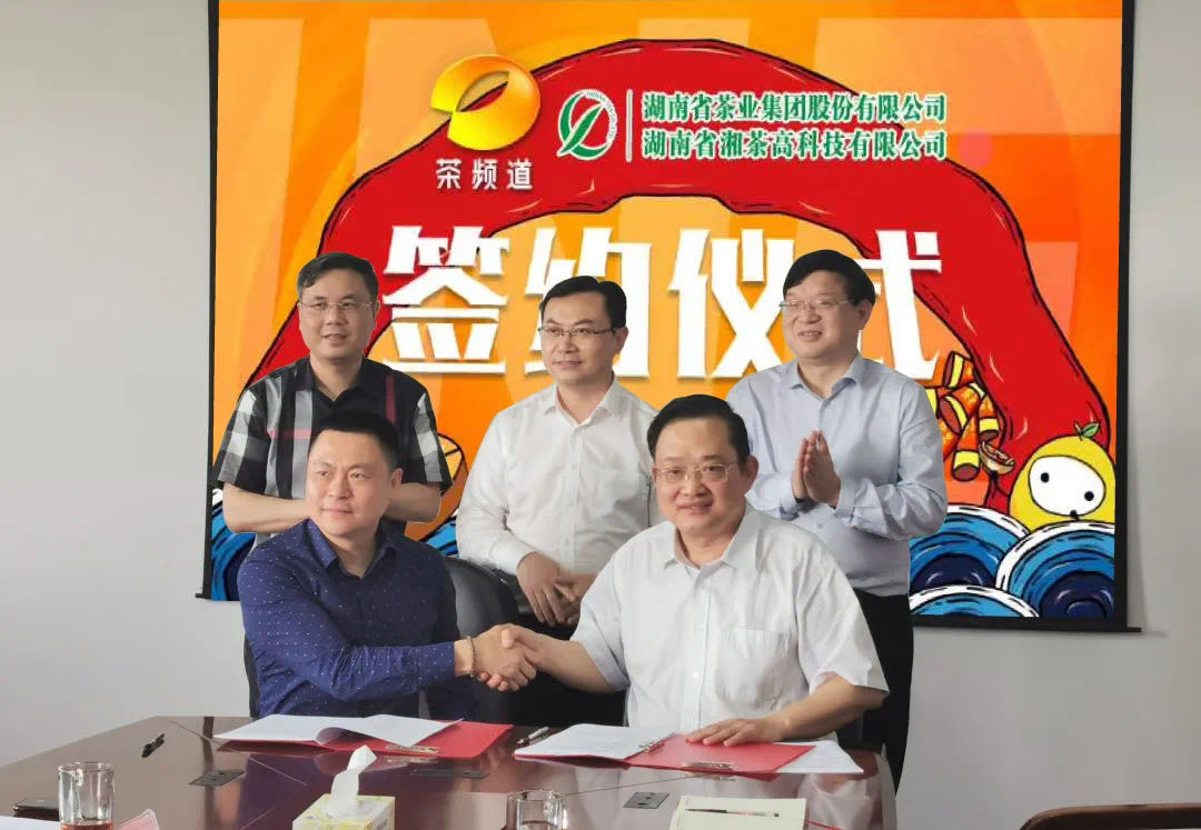院士見證，輕輕茶發(fā)力品牌建設(shè)，與茶頻道達(dá)成深度合作
